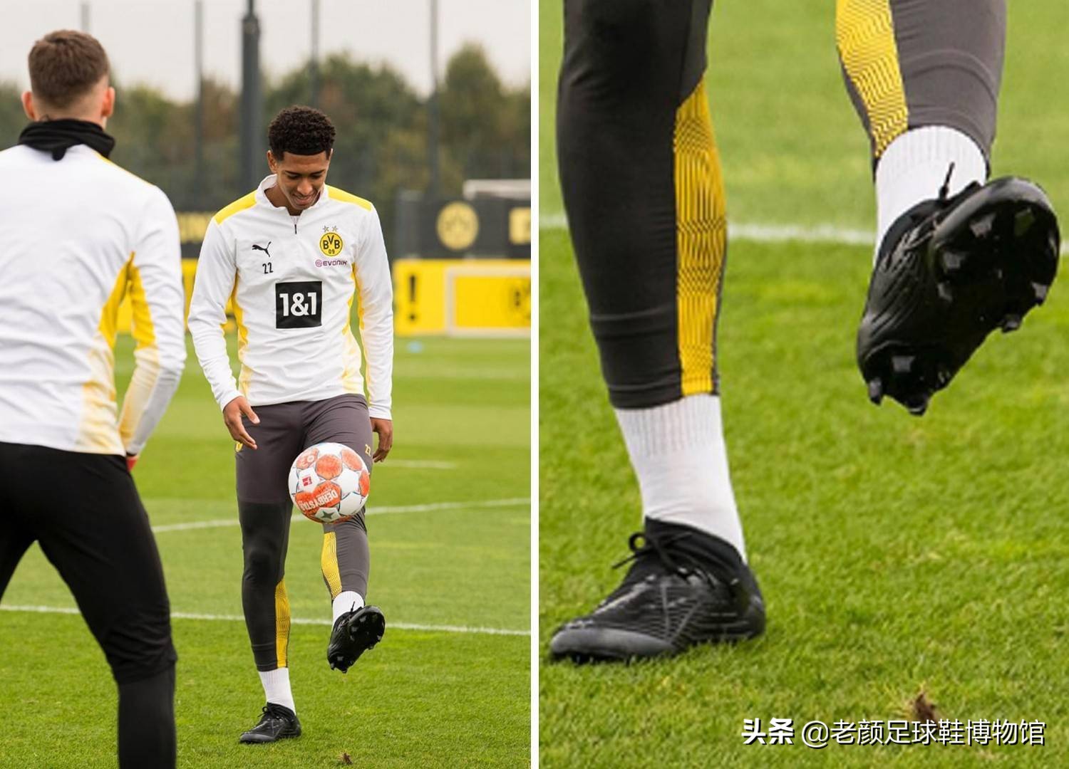 对荣誉的渴 对荣誉的渴