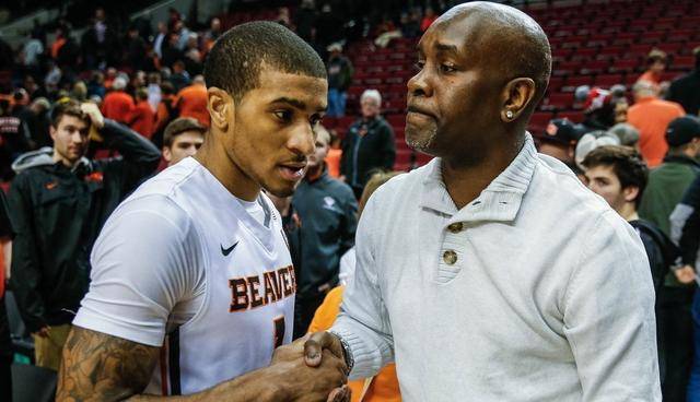 供不同凡响 供不同凡响